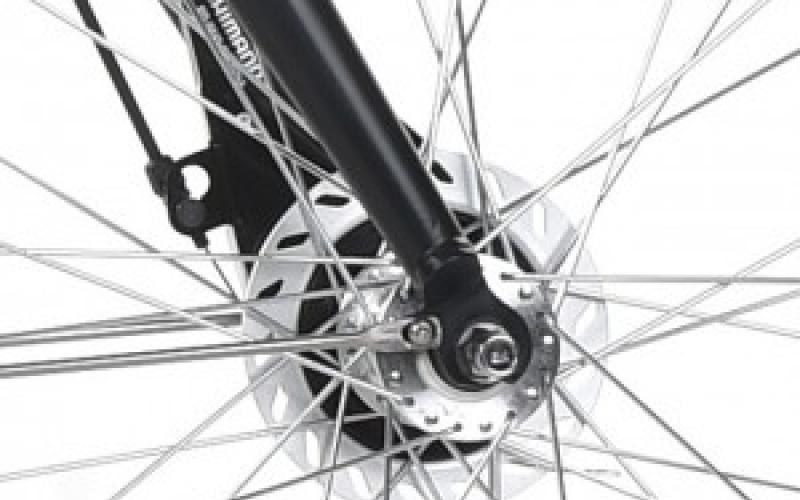 <p>Ontspannen en licht fietsen. De licht lopende Nexus versnellingsnaaf van Shimano zorgt ervoor dat u ontspannen fietst in iedere situatie. Met de wind mee of in de rug.</p>