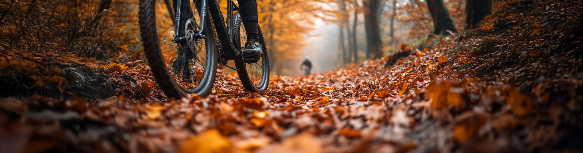 Lietmeijer Tweewielers